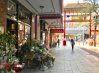 With new shops opening in Moonta Street like Zi House preparations are beginning to welcome Year of the Dog 2018.